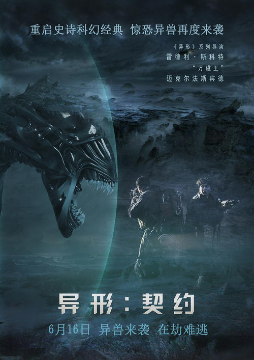Stoas Hogeschool会计文凭证书